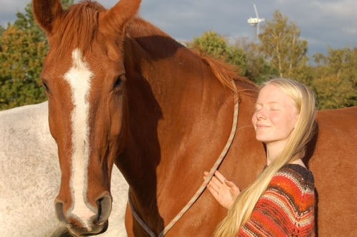 Intuitive Horses logo